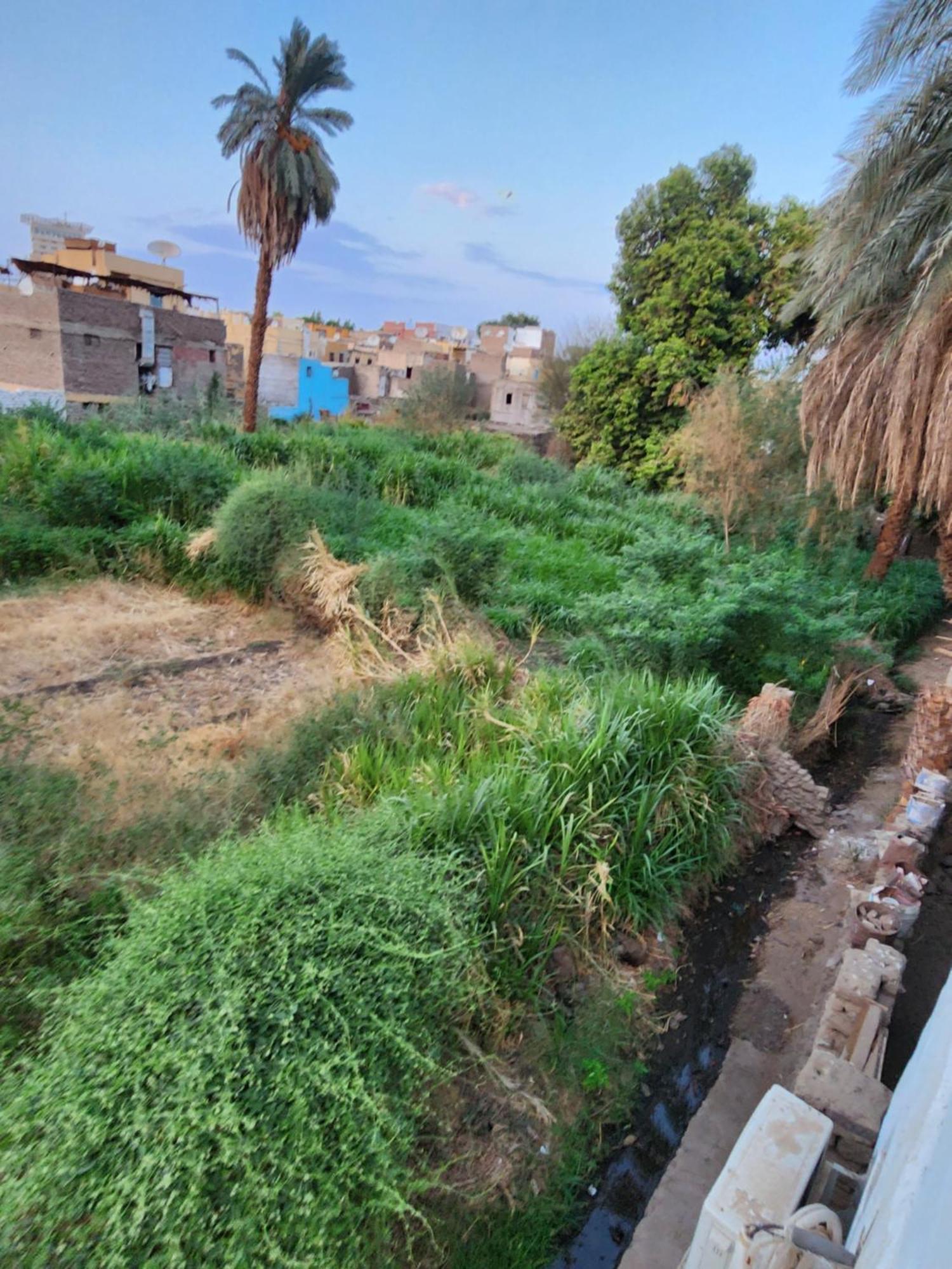 Dara Guest House Aswan Buitenkant foto